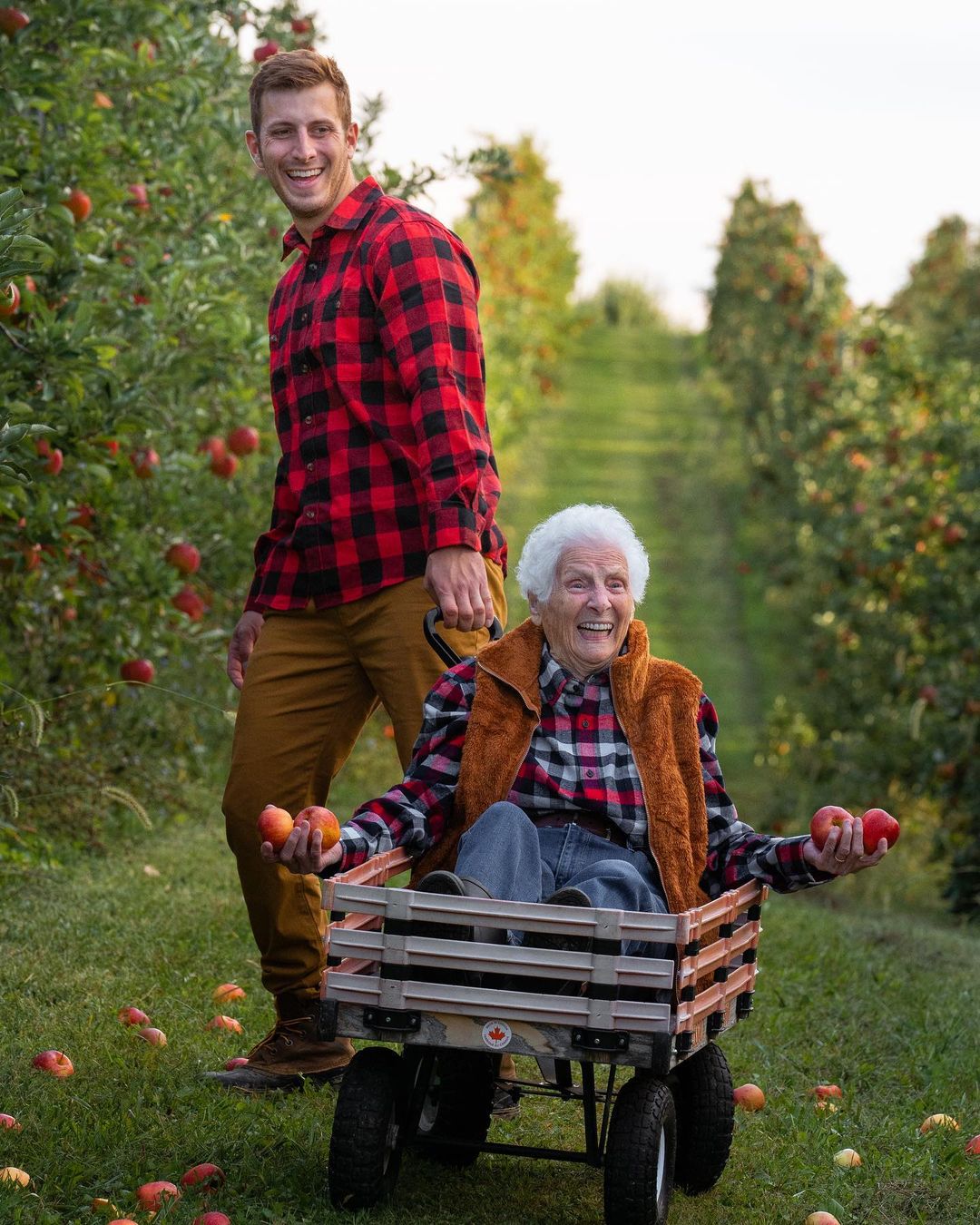 Pauline, ross, vtipné fotografie