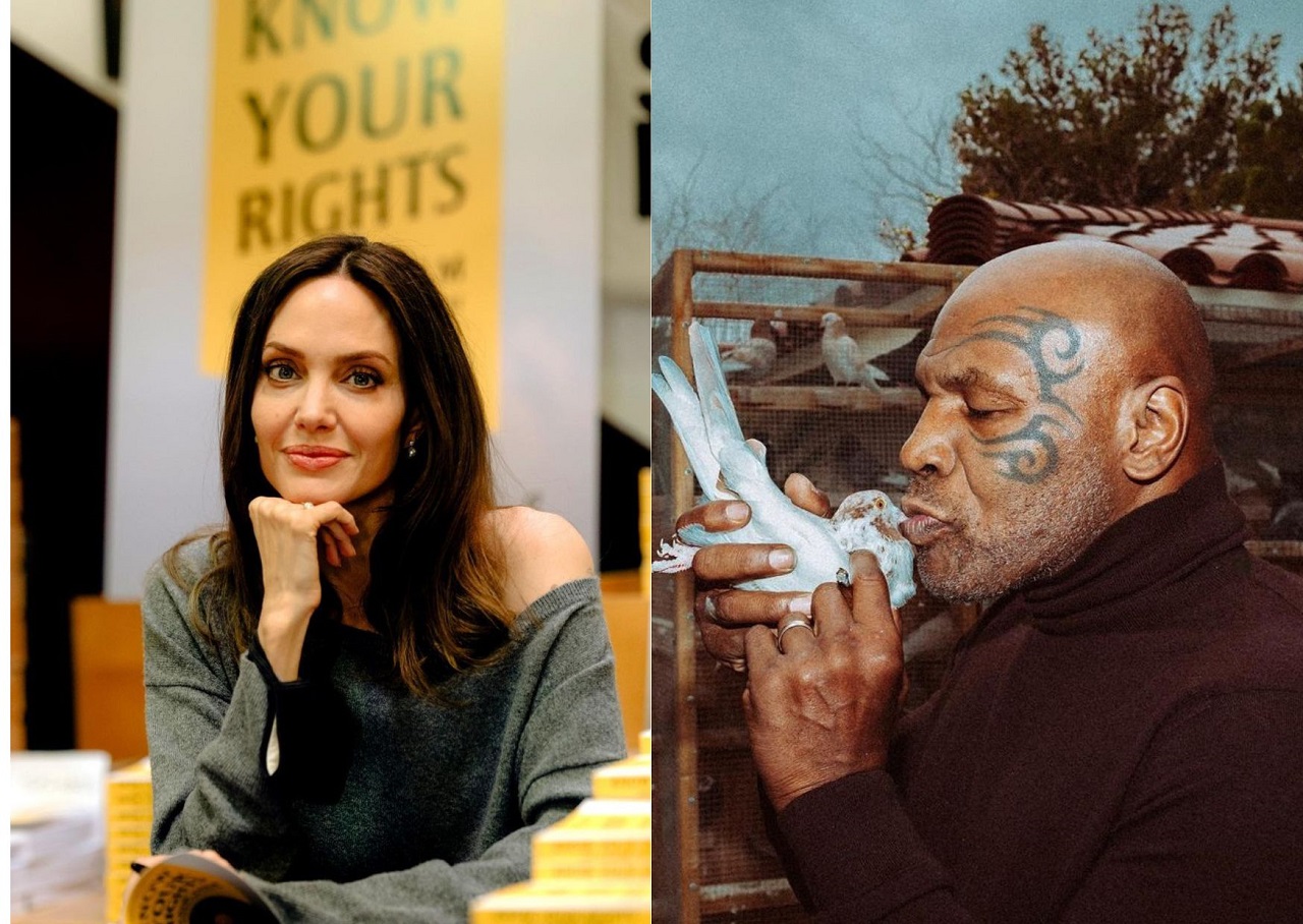 Angelina Jolie, Mike Tyson, záľuby