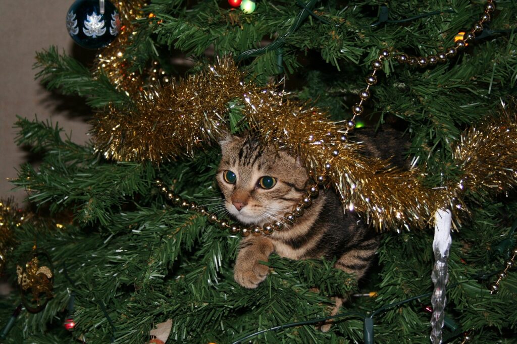 vianočný stromček, mačka, pes