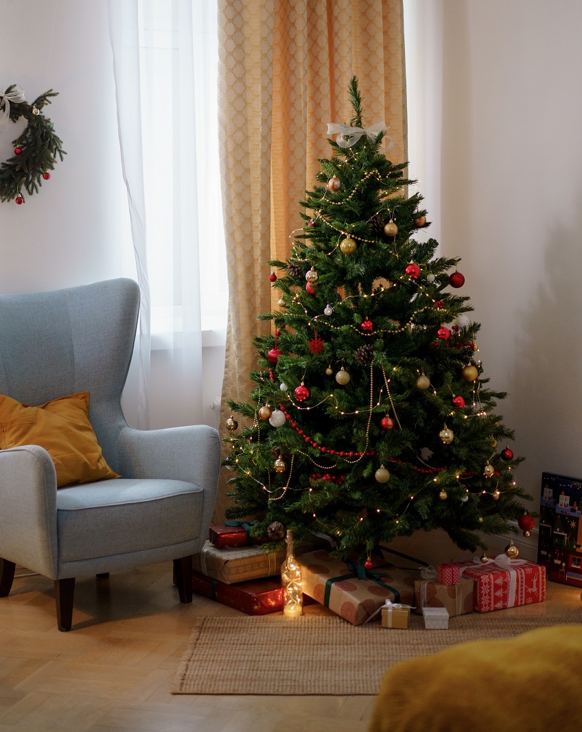 stromček, Vianoce, živý stromček