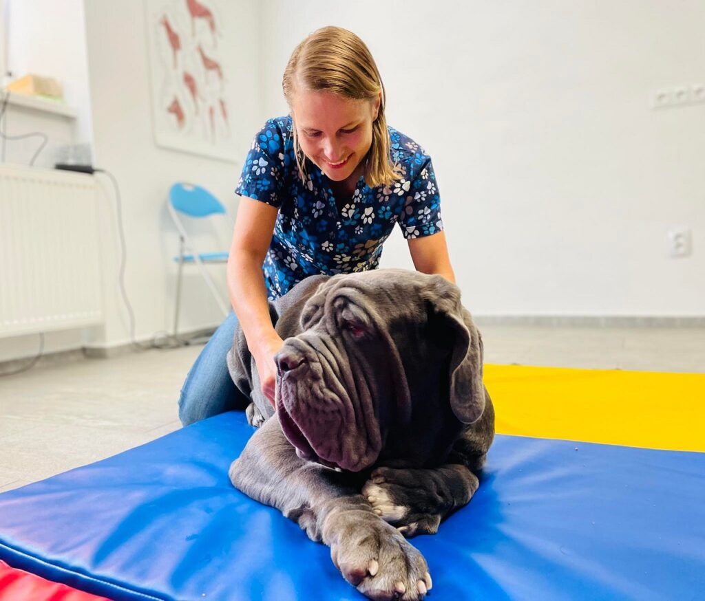 dog fitness, Barbora Jurášová