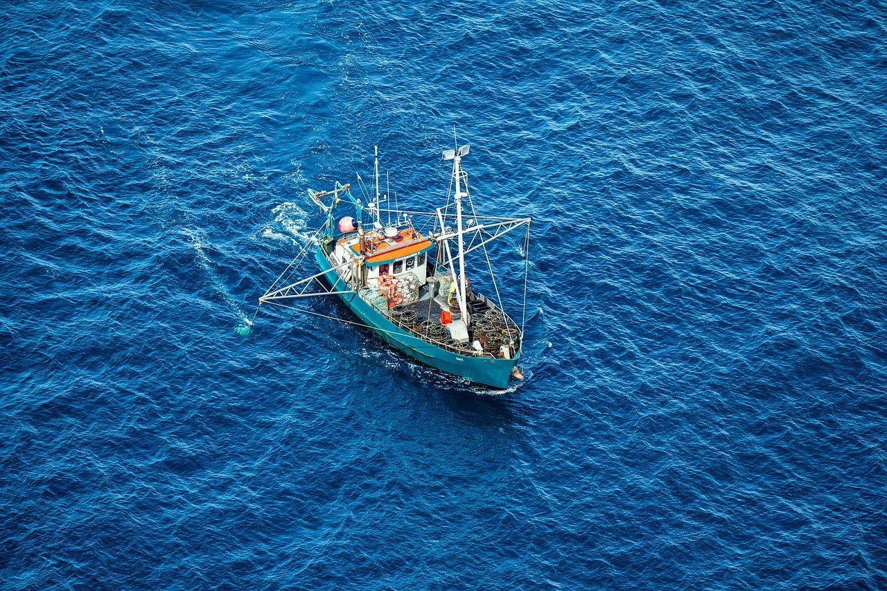 Botes de pesca baratos